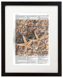 Starfish & Shells 8.5"x11" Semi Translucent Dictionary Art Print