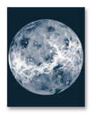Venus Compilation 11" x 14" Mono Tone Print (Choose Your Color)