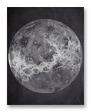 Venus Compilation 11" x 14" Mono Tone Print (Choose Your Color)
