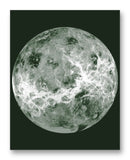 Venus Compilation 11" x 14" Mono Tone Print (Choose Your Color)