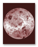 Venus Compilation 11" x 14" Mono Tone Print (Choose Your Color)