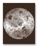 Venus Compilation 11" x 14" Mono Tone Print (Choose Your Color)