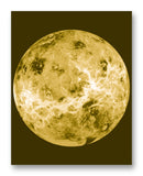 Venus Compilation 11" x 14" Mono Tone Print (Choose Your Color)