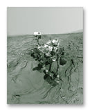 Curiosity Rover Selfie 11" x 14" Mono Tone Print (Choose Your Color)
