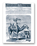 Scientific American 03-02-1872 11" x 14" Mono Tone Print (Choose Your Color)