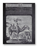 Scientific American 03-02-1872 11" x 14" Mono Tone Print (Choose Your Color)