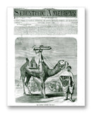 Scientific American 03-02-1872 11" x 14" Mono Tone Print (Choose Your Color)