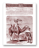 Scientific American 03-02-1872 11" x 14" Mono Tone Print (Choose Your Color)