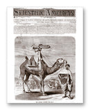 Scientific American 03-02-1872 11" x 14" Mono Tone Print (Choose Your Color)