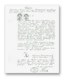 Nikola Tesla Birth Certificate 11" x 14" Mono Tone Print (Choose Your Color)