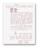 Nikola Tesla Birth Certificate 11" x 14" Mono Tone Print (Choose Your Color)