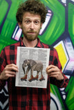 Roller Skating Elephant 8.5"x11" Semi Translucent Dictionary Art Print