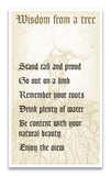 Wisdom From A Tree 13”x22” Vintage Style Showprint Poster - Concert Bill - Home Nostalgia Decor Wall Art Print