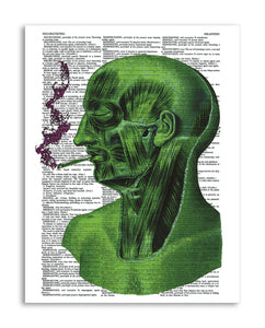 Psychedelic Smoker 8.5"x11" Semi Translucent Dictionary Art Print