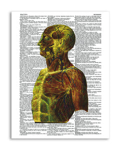 Psychedelic Anatomy 1 8.5"x11" Semi Translucent Dictionary Art Print