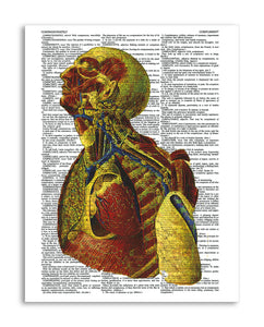 Psychedelic Anatomy 3 8.5"x11" Semi Translucent Dictionary Art Print