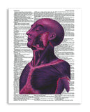 Psychedelic Anatomy 4 8.5"x11" Semi Translucent Dictionary Art Print