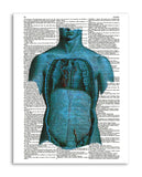 Psychedelic Anatomy 5 8.5"x11" Semi Translucent Dictionary Art Print