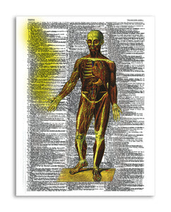 Psychedelic Anatomy 9 8.5"x11" Semi Translucent Dictionary Art Print