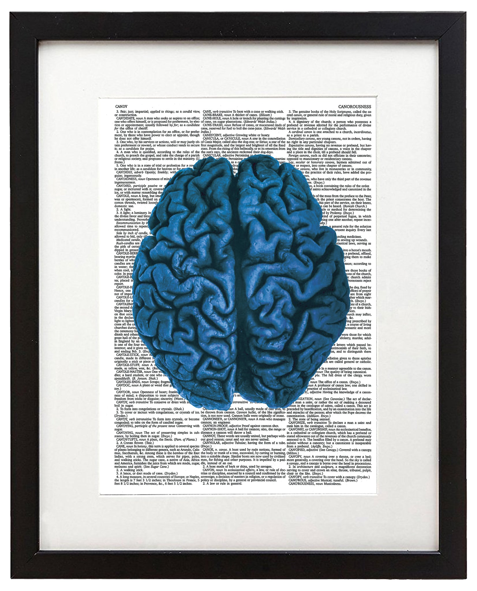 Blue Brain 8.5x11 Semi Translucent Dictionary Art Print – Per Diem  Printing