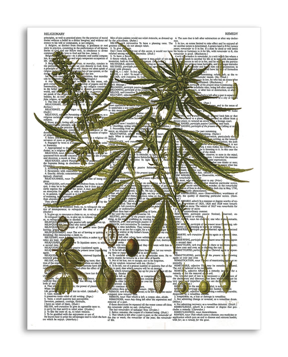 Vintage Marijuana Plant 8.5
