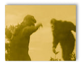 King Kong VS Godzilla 11" x 14" Mono Tone Print (Choose Your Color)