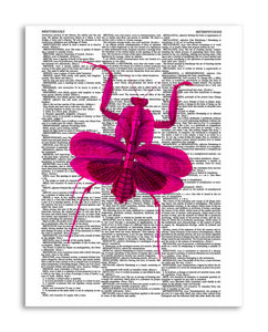 Pink Mantis 8.5"x11" Semi Translucent Dictionary Art Print