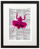 Pink Mantis 8.5"x11" Semi Translucent Dictionary Art Print