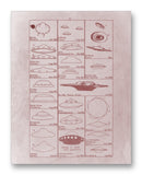 UFO Sightings Chart - 11" x 14" Mono Tone Print (Choose Your Color)