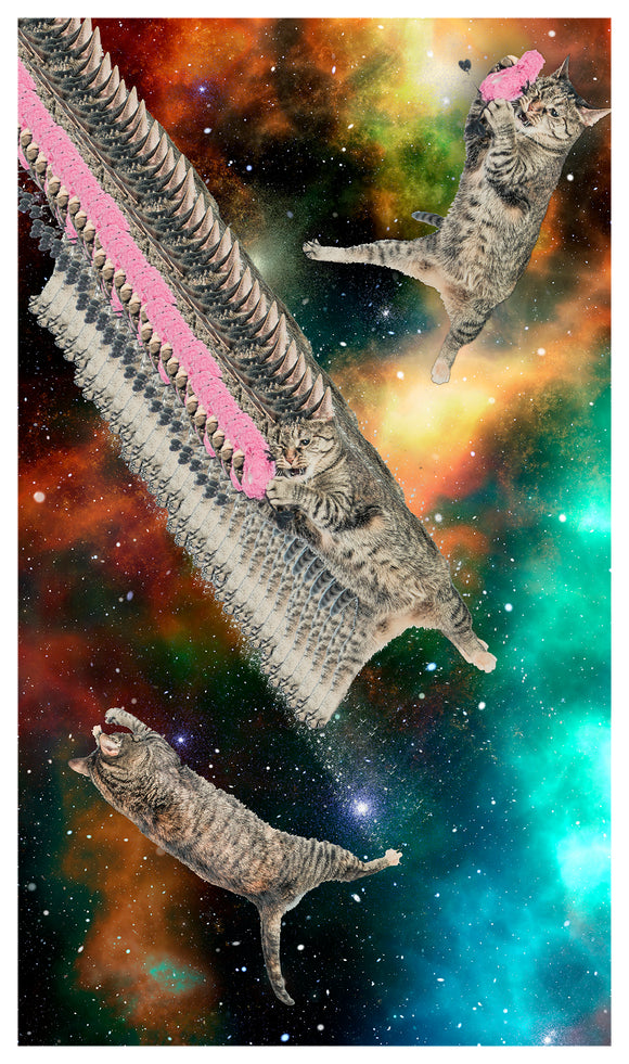 Space Cat – Hilarious 13”x22” Showprint Poster - Home Decor – Fun Wall Art Print - Neckahneck Artist Edition
