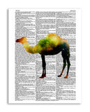 Cosmic Camel 8.5"x11" Semi Translucent Dictionary Art Print