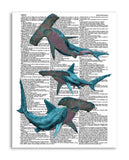 Hammerhead Sharks 8.5"x11" Semi Translucent Dictionary Art Print