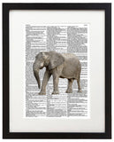 Elephant 8.5"x11" Semi Translucent Dictionary Art Print