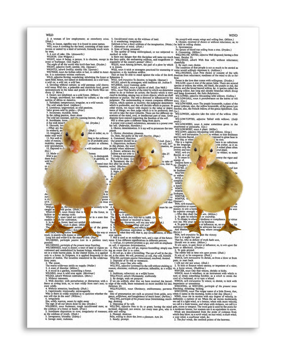 Ducklings 8.5