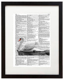 Swan 8.5"x11" Semi Translucent Dictionary Art Print