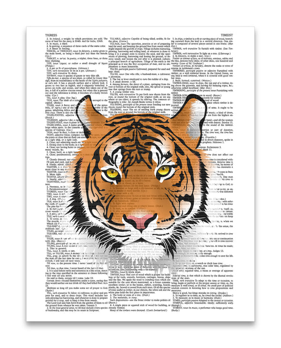 Tiger Illustration 8.5