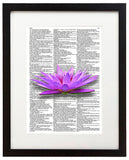 Water Lily 8.5"x11" Semi Translucent Dictionary Art Print