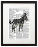 Zebra Illustration 8.5"x11" Semi Translucent Dictionary Art Print