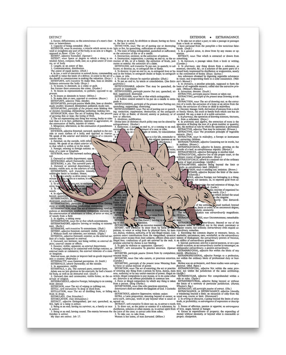 Stegosaurus Drawing 8.5