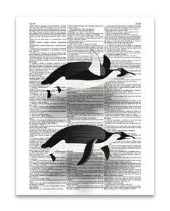 Flying Penguins 8.5"x11" Semi Translucent Dictionary Art Print