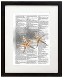 Starfish Pair 8.5"x11" Semi Translucent Dictionary Art Print