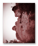 Mount Rushmore Through Trees 11" x 14" Mono Tone Print (Choose Your Color) - Jacob Andrew Dodge Artist Edition