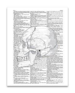 Skull Drawing 8.5"x11" Semi Translucent Dictionary Art Print