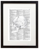 Skull Drawing 8.5"x11" Semi Translucent Dictionary Art Print