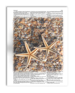 Starfish & Shells 8.5"x11" Semi Translucent Dictionary Art Print