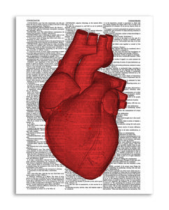 Heart Illustration 8.5"x11" Semi Translucent Dictionary Art Print