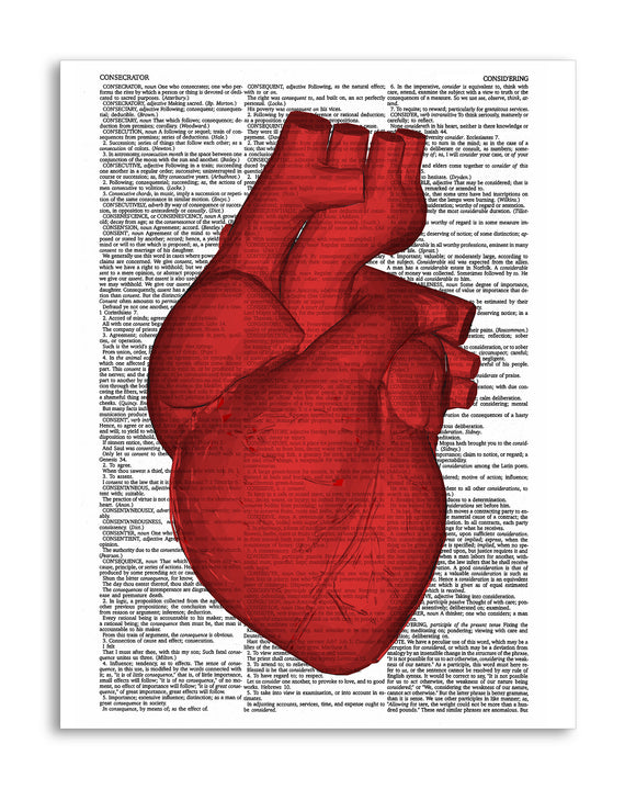 Heart Illustration 8.5