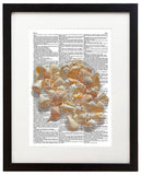 Seashells 8.5"x11" Semi Translucent Dictionary Art Print