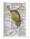 Smoking Bird 8.5"x11" Semi Translucent Dictionary Art Print - Artmeat Artist Edition
