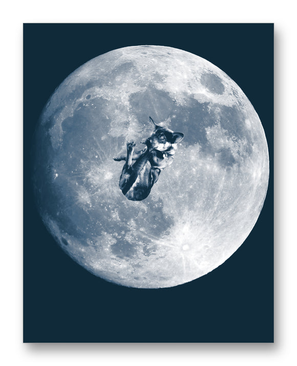 Laika Floating Over the Moon 11